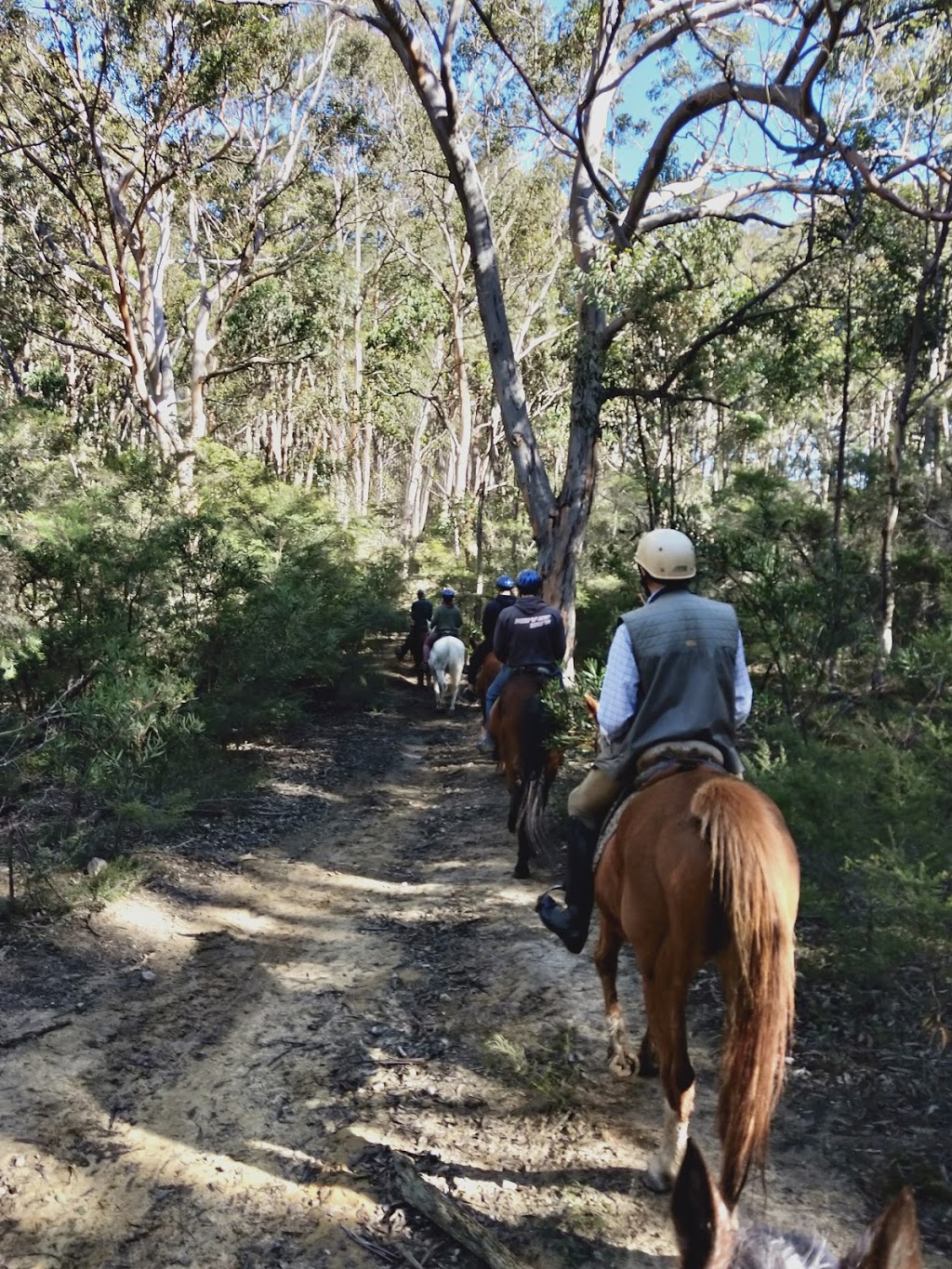 Megalong Valley Farm | 993 Megalong Valley Road, Megalong Valley NSW 2785, Australia | Phone: (02) 4787 8188