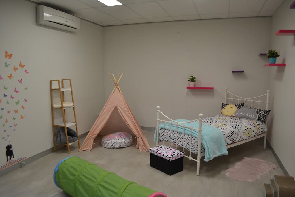 Cat Napping Suburban Retreat | 10/2 Burleigh St, Spotswood VIC 3015, Australia | Phone: (03) 9398 0988