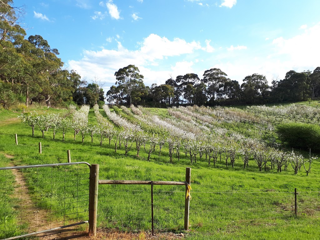 Cherrytime Orchard | 1917 Lobethal Rd, Lobethal SA 5241, Australia | Phone: (08) 8389 6902