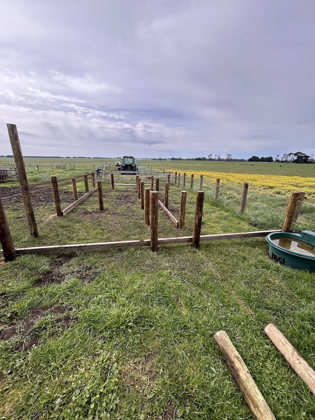 Niftys rural fencing | 8 Austin St, Hawkesdale VIC 3287, Australia | Phone: 0437 438 808