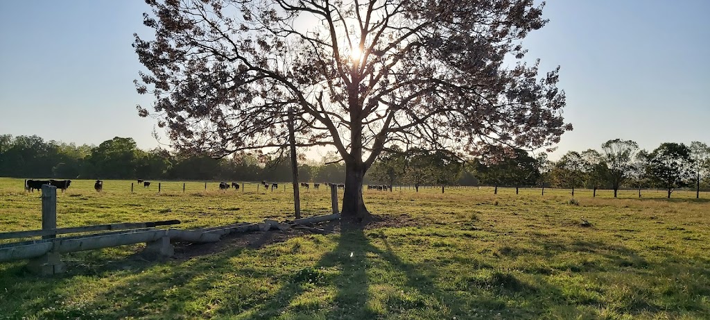 Eden Brae Farm | 1532 Rollands Plains Rd, Rollands Plains NSW 2441, Australia | Phone: 0407 067 938