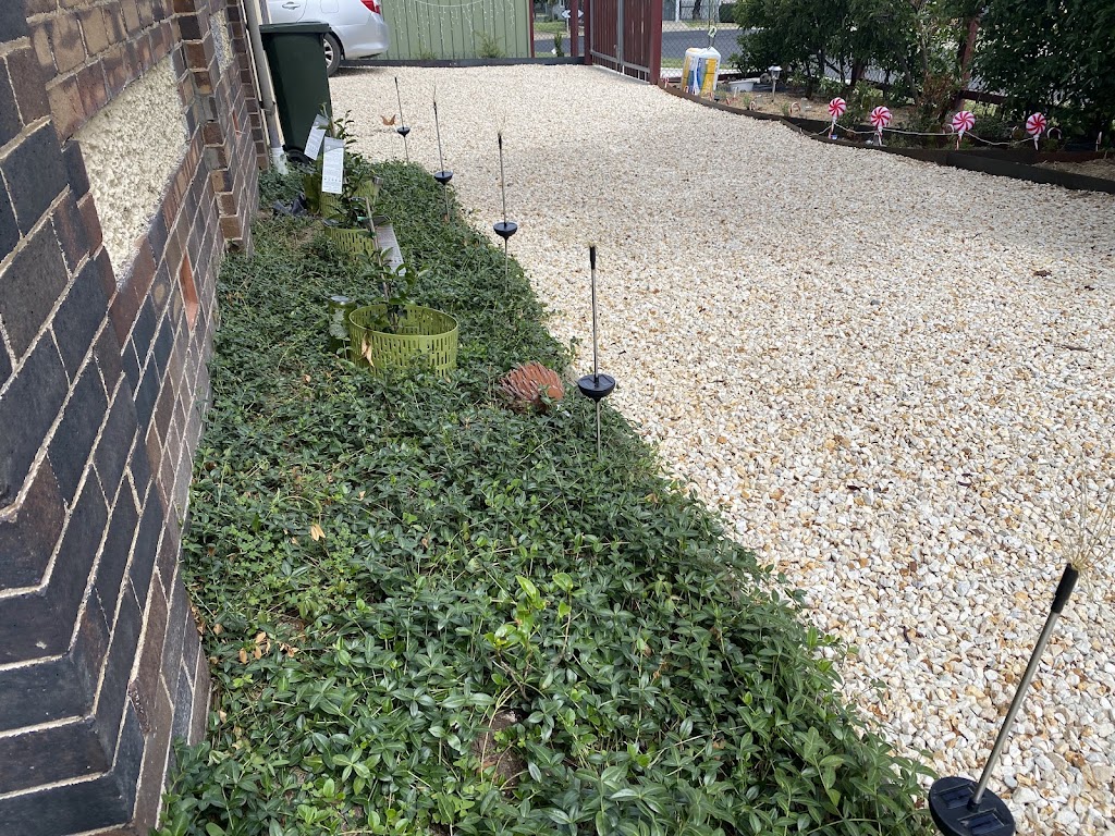 PLM gardening | 15 Short St, Glen Innes NSW 2370, Australia | Phone: 0481 170 462