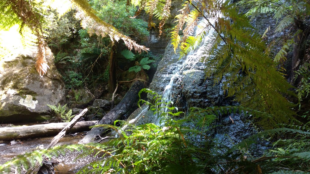 Phantom Falls | tourist attraction | Allenvale Road, Henderson Track, Lorne VIC 3232, Australia | 131963 OR +61 131963