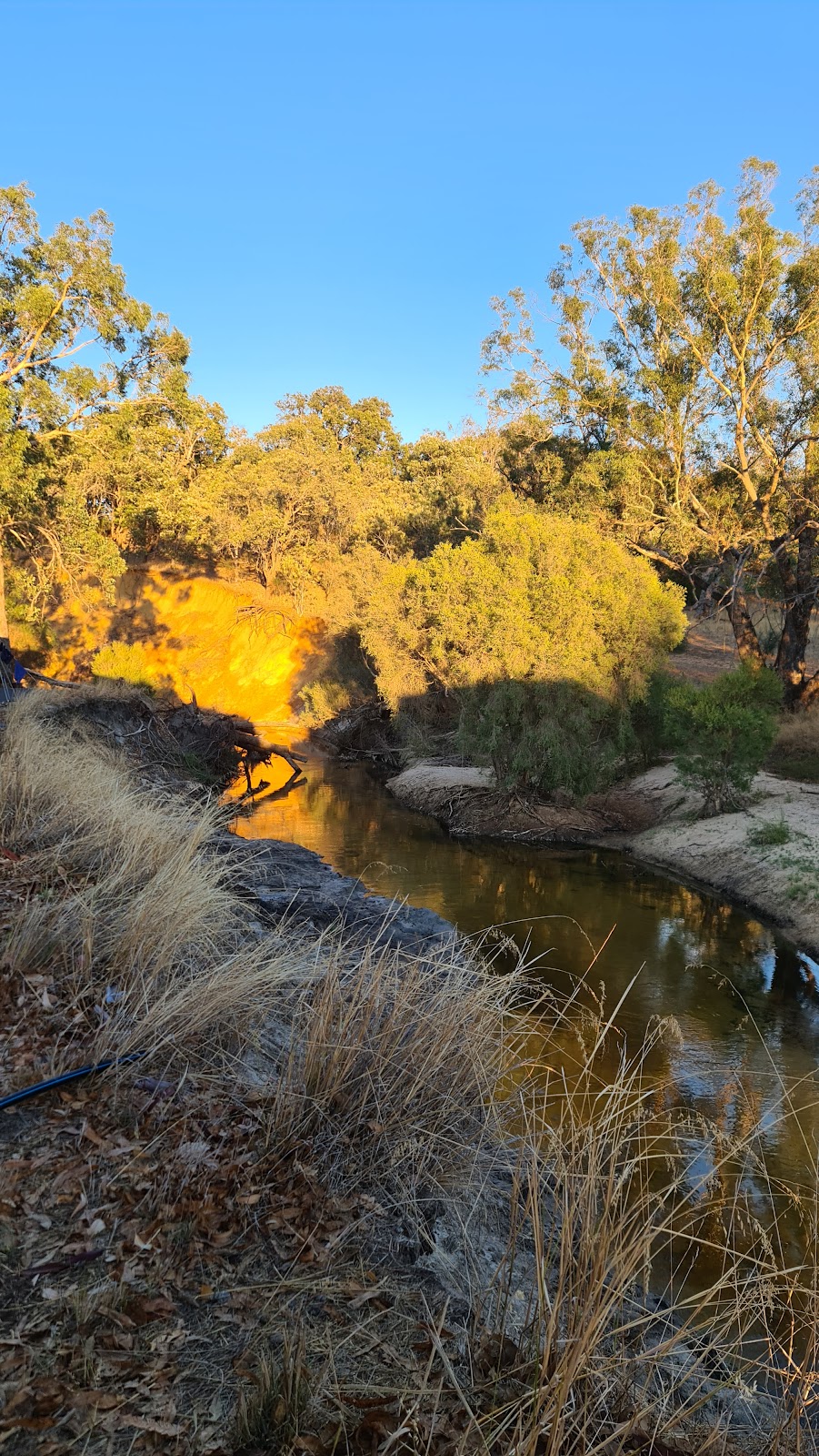 Cowalla Camping | look for 802 yellow sign out the front, Lot 226/802 Nabaroo Rd, Cowalla WA 6503, Australia | Phone: 0433 302 596