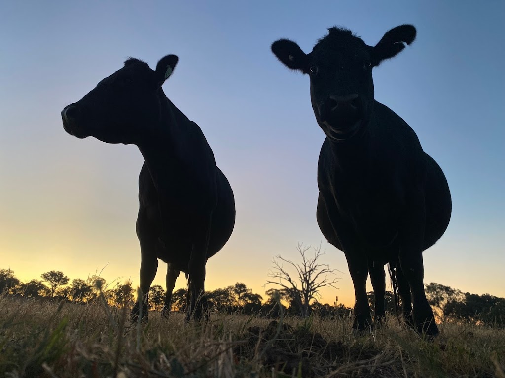 Magpie Lane Farm | 180 Magpie Ln, Wooragee VIC 3747, Australia | Phone: 0401 759 596