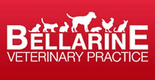 Bellarine Veterinary Practice | veterinary care | 65 Coppards Rd, Newcomb VIC 3219, Australia | 0352482009 OR +61 3 5248 2009