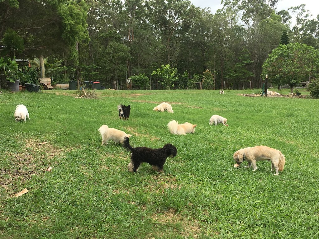 PUPPY TALES FARMSTAY | Lot 527 Scougall Rd, Dingo Pocket QLD 4854, Australia | Phone: 0448 138 113