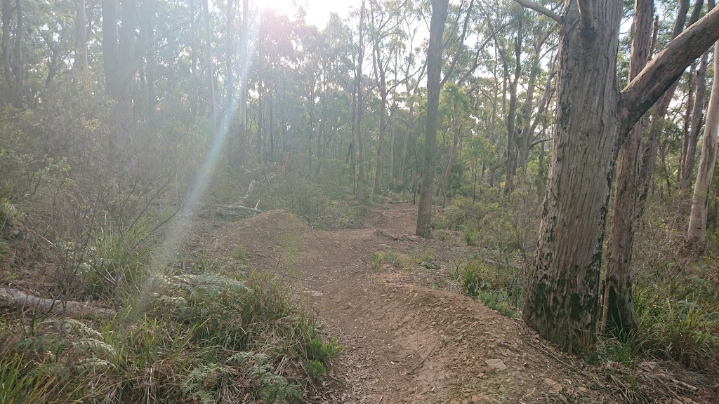 Kelcey Tier Mountain Bike Trails | Stony Rise TAS 7310, Australia