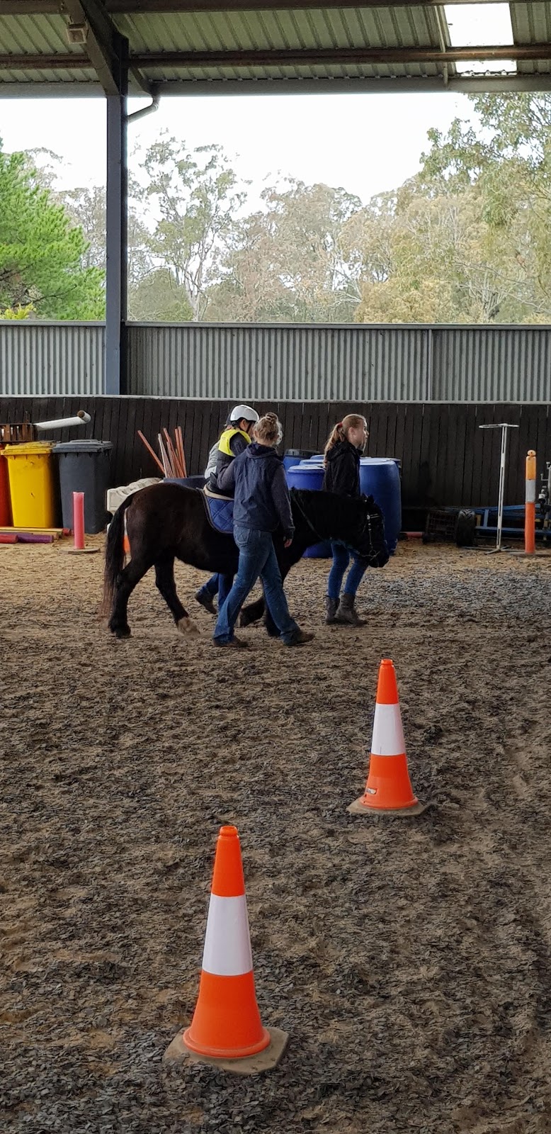 Riding for The Disabled Assoc NSW Tall Timbers Centre | 125 Old Pitt Town Rd, Box Hill NSW 2765, Australia | Phone: (02) 9679 1246