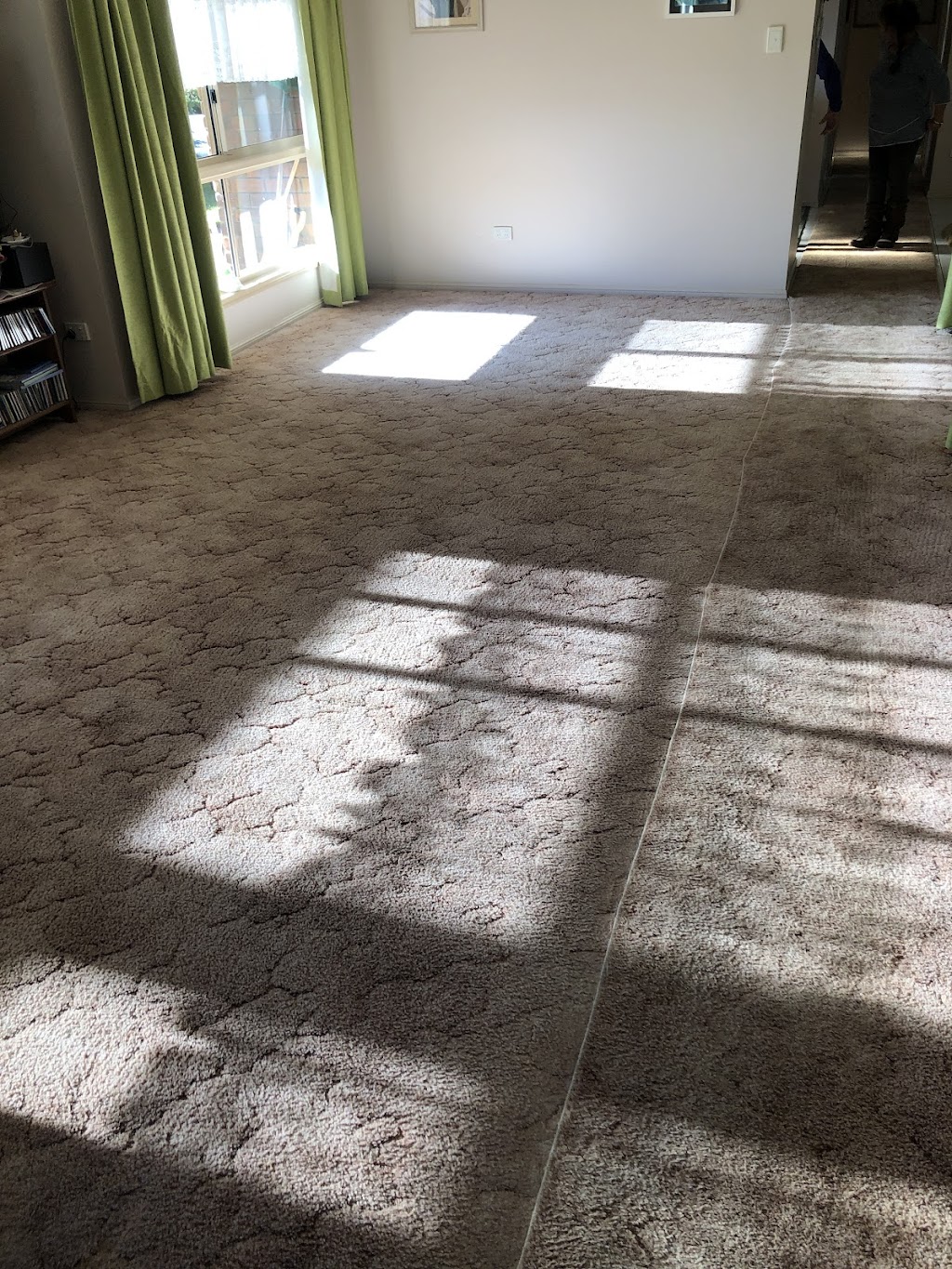 Dynamic Carpet Cleaners | 66 Coomera Gorge Dr, Tamborine Mountain QLD 4272, Australia | Phone: 0408 061 282