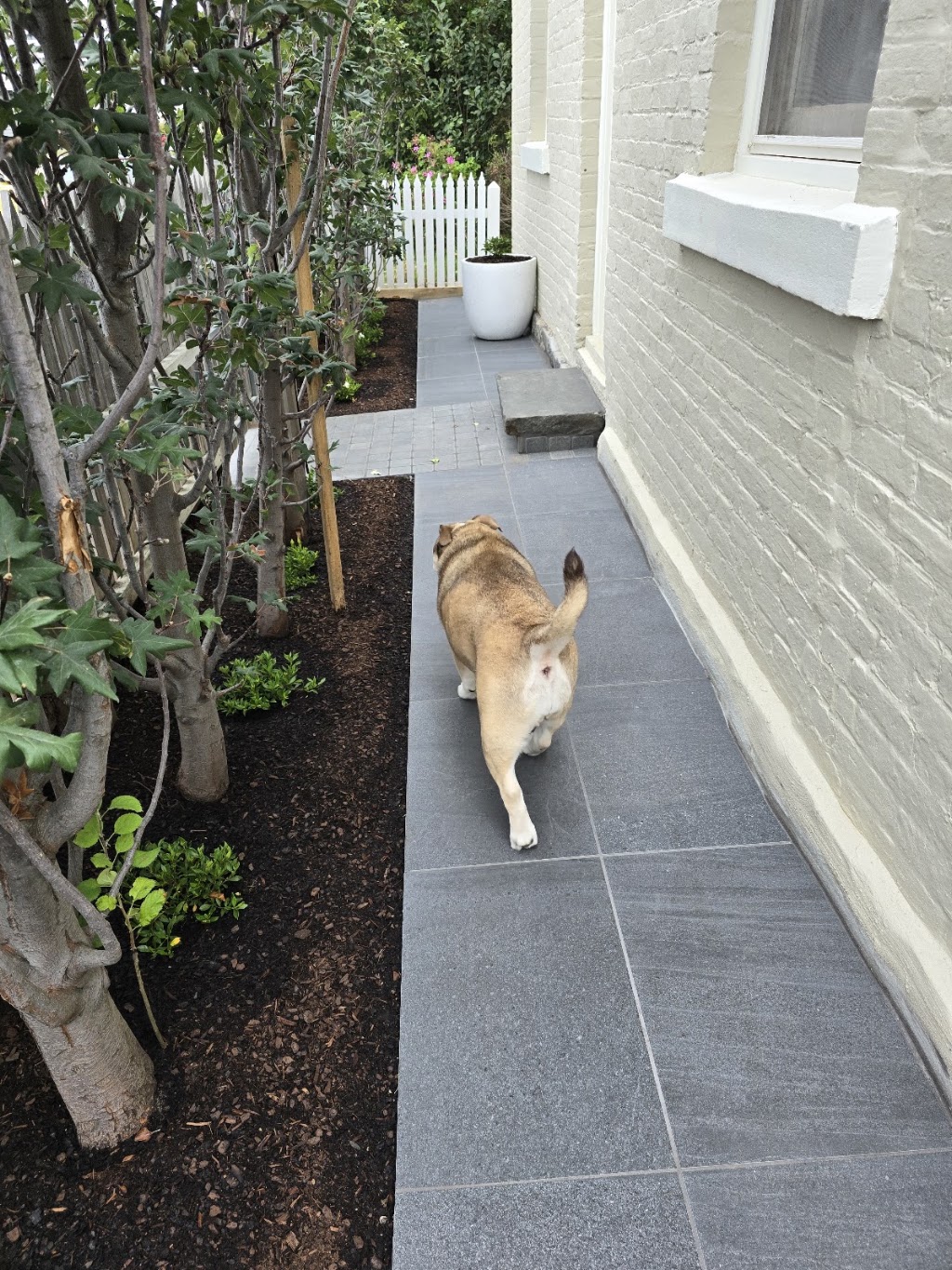 Outer Spaces Landscaping (Est. 2012) | 6 Whitten Ct, Highton VIC 3216, Australia | Phone: 0468 722 432