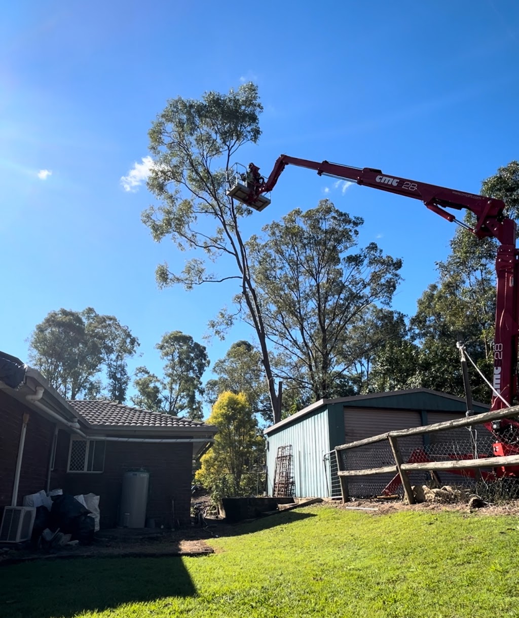 Trees N Terrain | 11 Rosewood Rd, Munruben QLD 4125, Australia | Phone: 0409 243 888