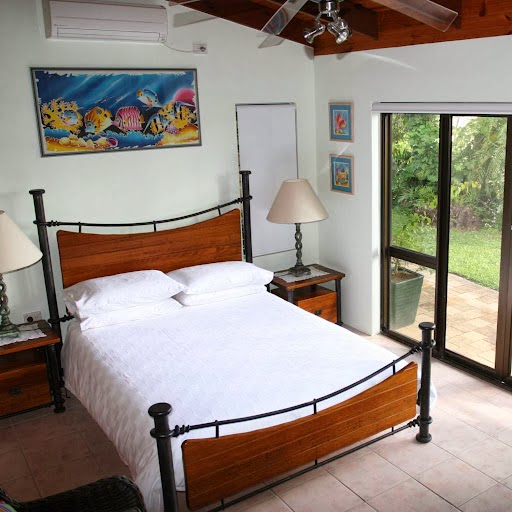 Daintree Village Bed and Breakfast | 8 Stewart Creek Rd, Daintree QLD 4873, Australia | Phone: 0400 709 395