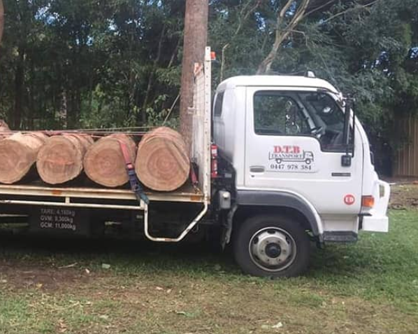 Tom Thumb Tree Works | 190 Woodlands Dr, Wamuran QLD 4512, Australia | Phone: (07) 5429 8318