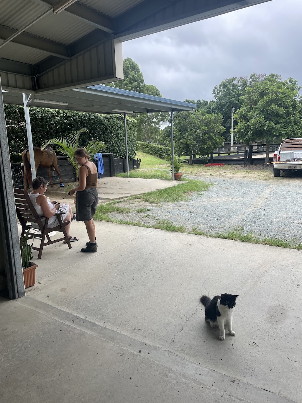 Life with Horses Limited | 45 Old Mount Samson Rd, Mount Samson QLD 4520, Australia | Phone: 0421 154 288