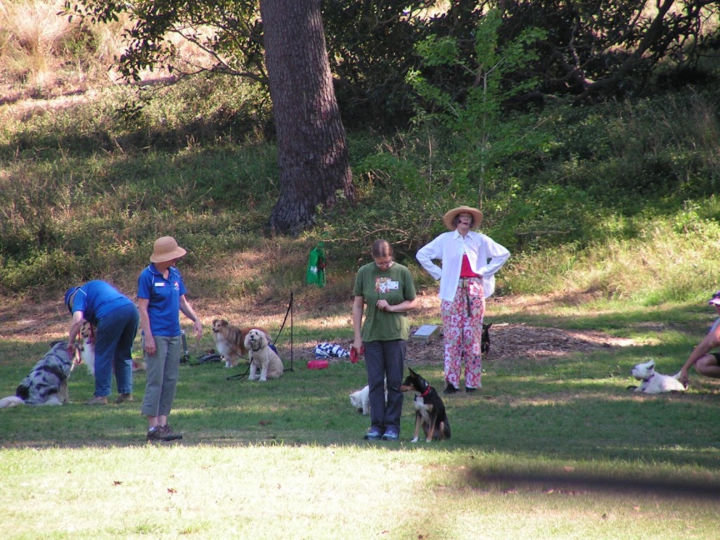 Eastern Suburbs Dog Training | Musgrave Ave, Centennial Park NSW 2022, Australia