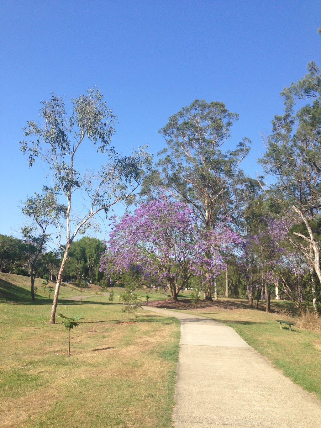 Boyd Terrace Park | 16 Rees Way, Brookfield QLD 4069, Australia | Phone: (07) 3403 8888