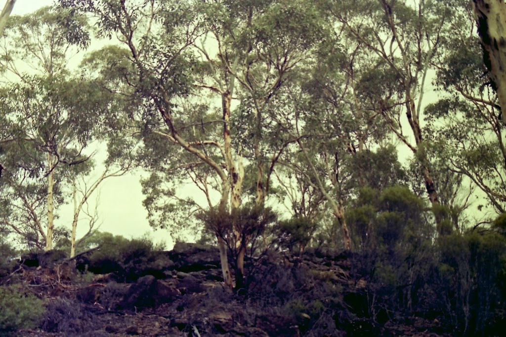 Lol Gray State Forest | park | Williams WA 6391, Australia
