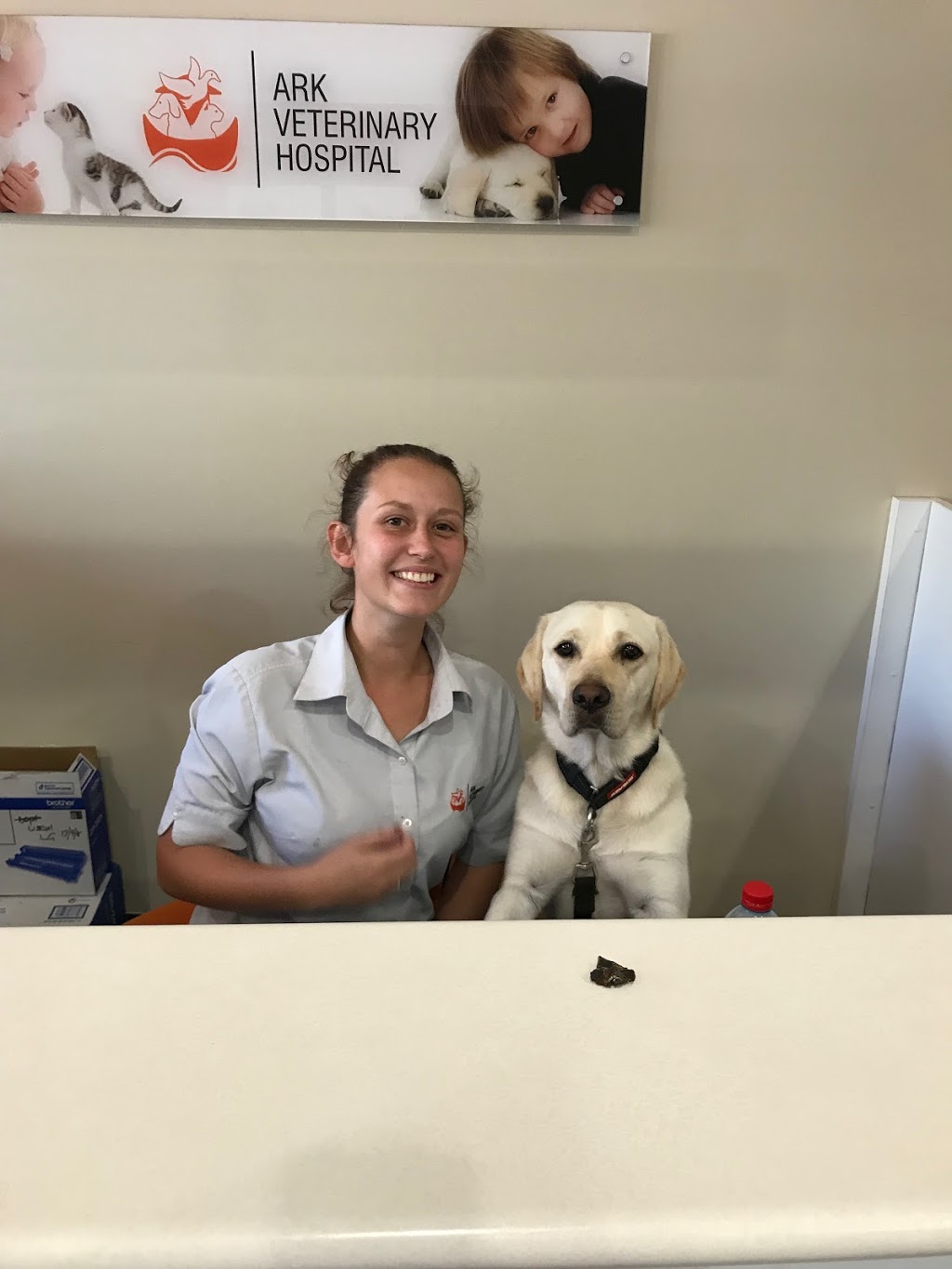 Ark Veterinary Hospital | pet store | 352 Pacific Hwy, Lindfield NSW 2070, Australia | 0294161300 OR +61 2 9416 1300