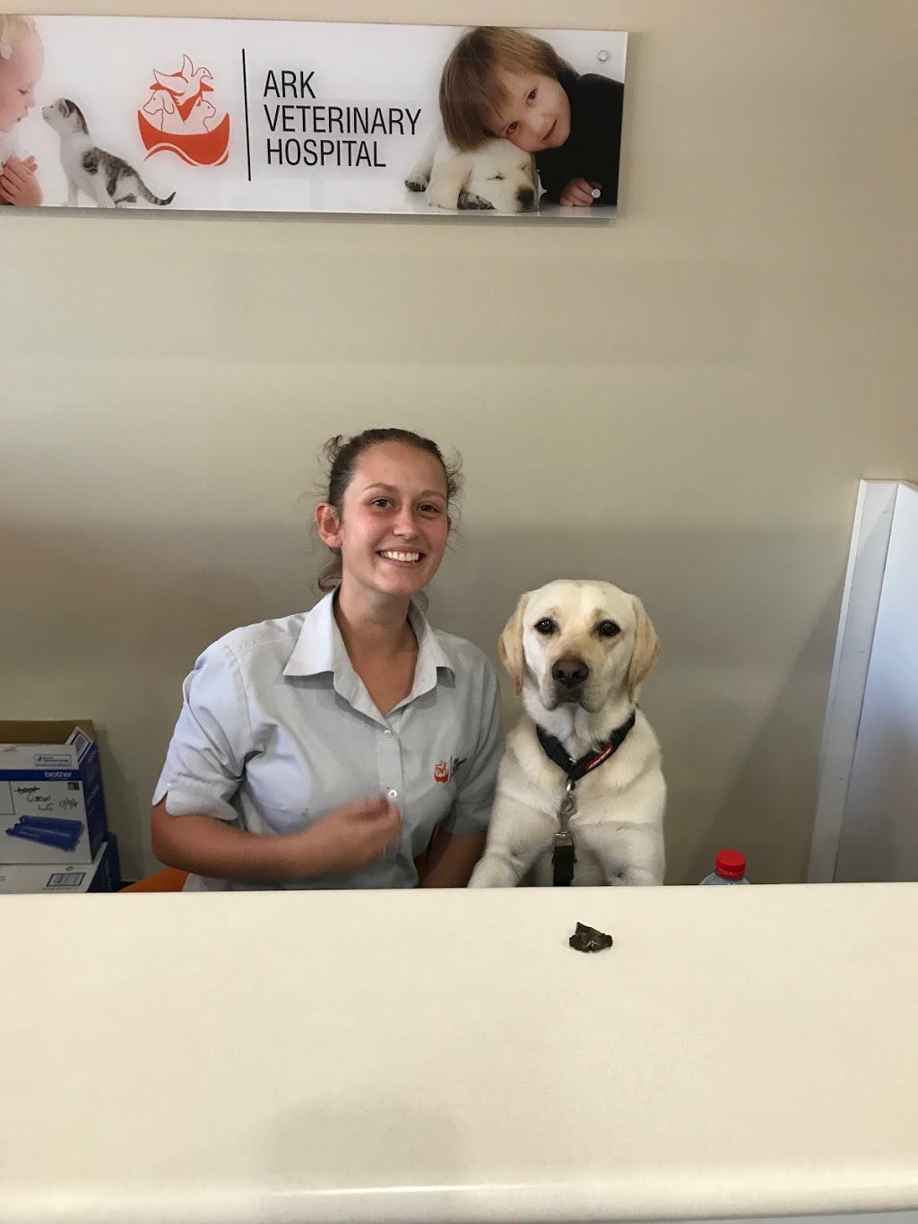 Ark Veterinary Hospital | 352 Pacific Hwy, Lindfield NSW 2070, Australia | Phone: (02) 9416 1300