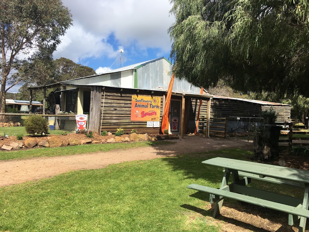 Sunflowers Animal Farm and Farmstay | 5561 Caves Rd, Burnside WA 6285, Australia | Phone: (08) 9757 3343