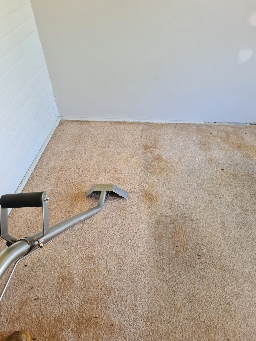 TDS PROPERTY MAINTENANCE AND CARPET CLEANING | home goods store | 14 Acacia Ave, Harden NSW 2587, Australia | 0403561974 OR +61 403 561 974