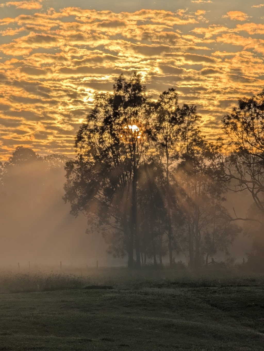 Long Acre Lovedale | 6 Lovedale Rd, Lovedale NSW 2325, Australia | Phone: 0433 688 449