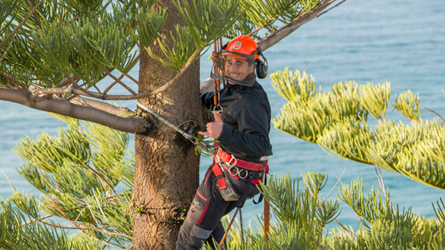 Go Tree Quotes | 8 Mondy Cres, Avoca Beach NSW 2251, Australia | Phone: 1800 252 208 Go Tree Quotes | 8 Mondy Cres, Avoca Beach NSW 2251, Australia | Phone: 1800 252 208