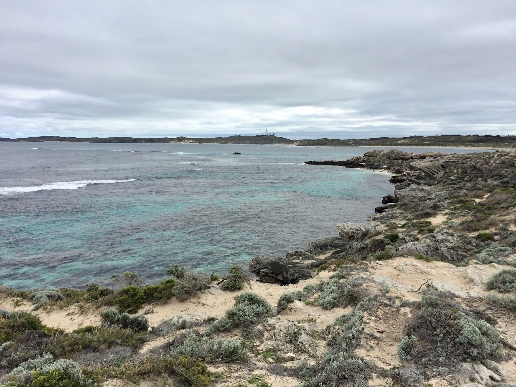 Eastern Osprey Nest | Parker Point Rd, Rottnest Island WA 6161, Australia