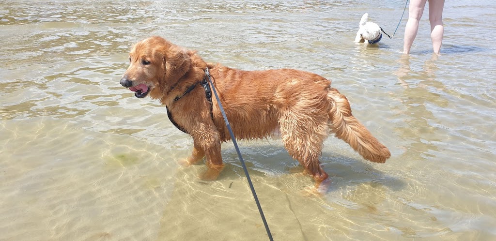 Mentone Dog Beach | park | Mentone Parade, Mentone VIC 3194, Australia