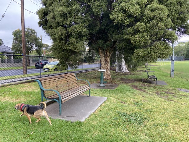 Waverley Park Dog Off Leash Area | 1 Sylvester Cres, Malvern East VIC 3145, Australia | Phone: 0408 114 414