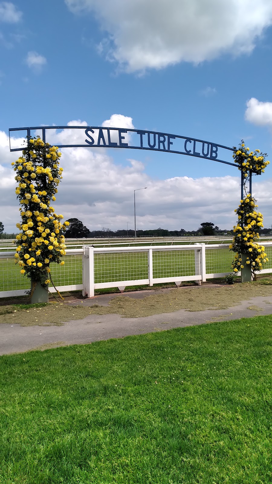 Sale Turf Club | 1227 Maffra-Sale Rd, Sale VIC 3850, Australia | Phone: (03) 5144 2962