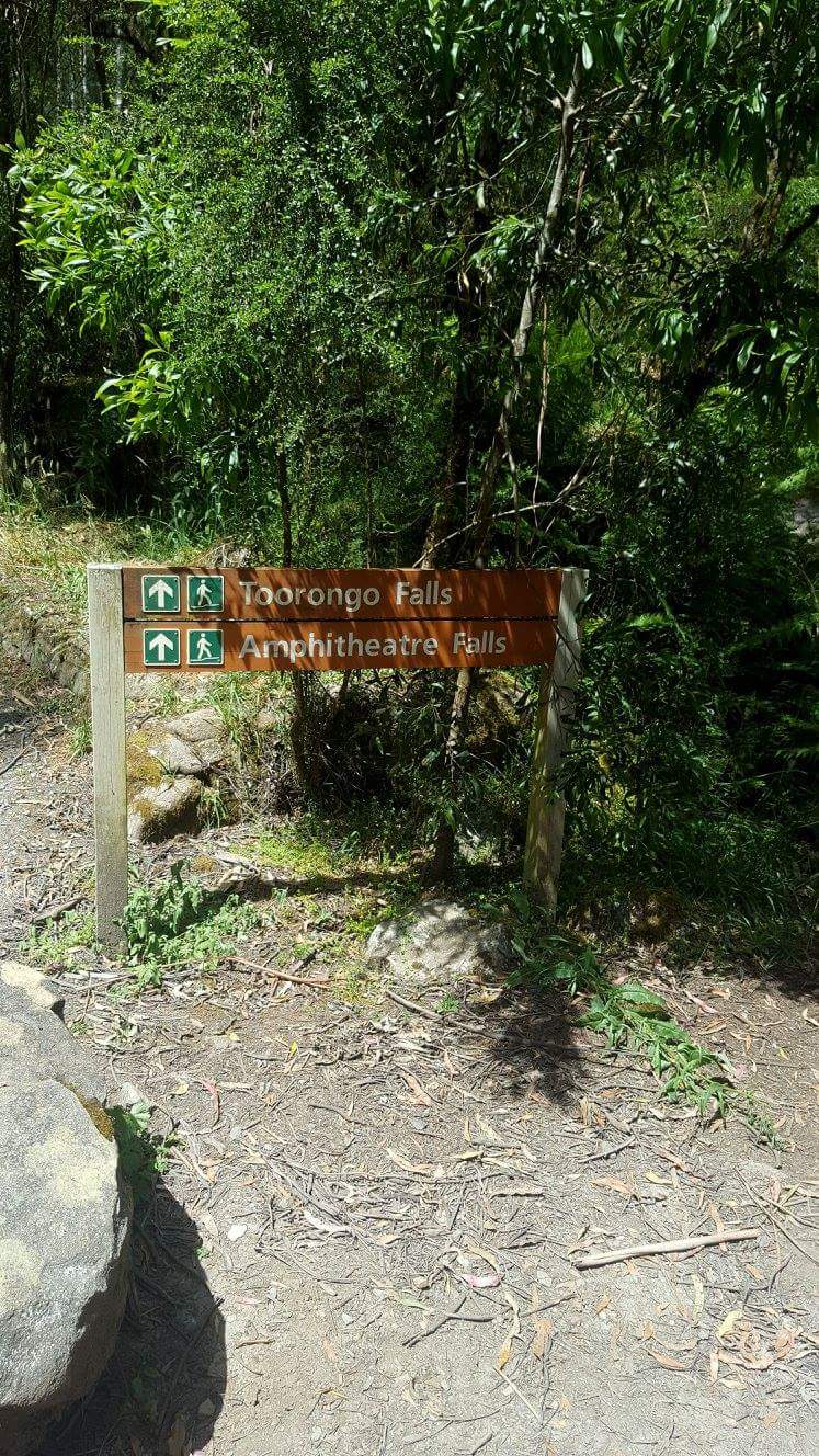 Toorongo Falls Reserve | 640 Toorongo Valley Rd, Noojee VIC 3833, Australia | Phone: (03) 5624 2411