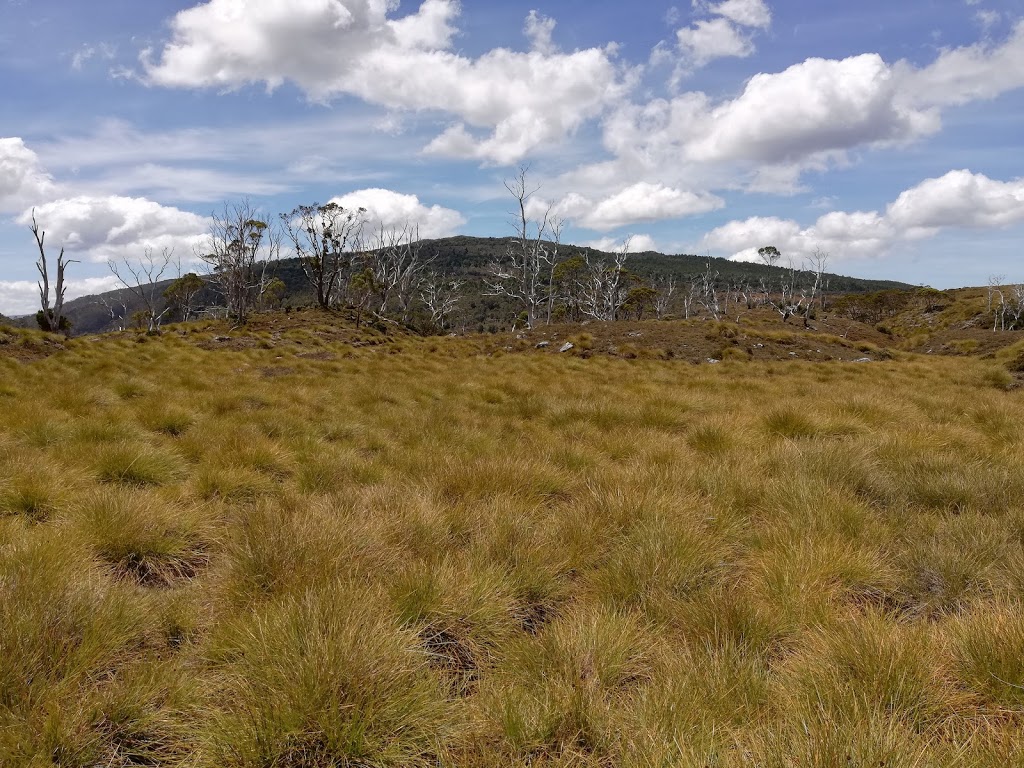 Cradle Mountain, Tasmania | park | Suttons Tarn Track, Cradle Mountain TAS 7306, Australia