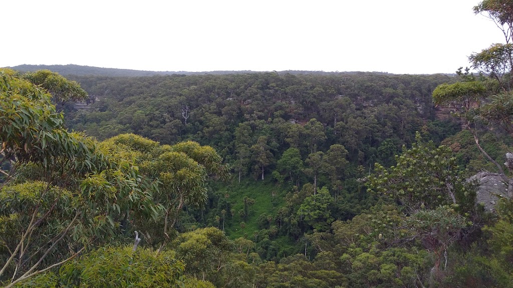 Banksia | 51 Bendena Gardens, Stanwell Tops NSW 2508, Australia | Phone: 1800 816 496