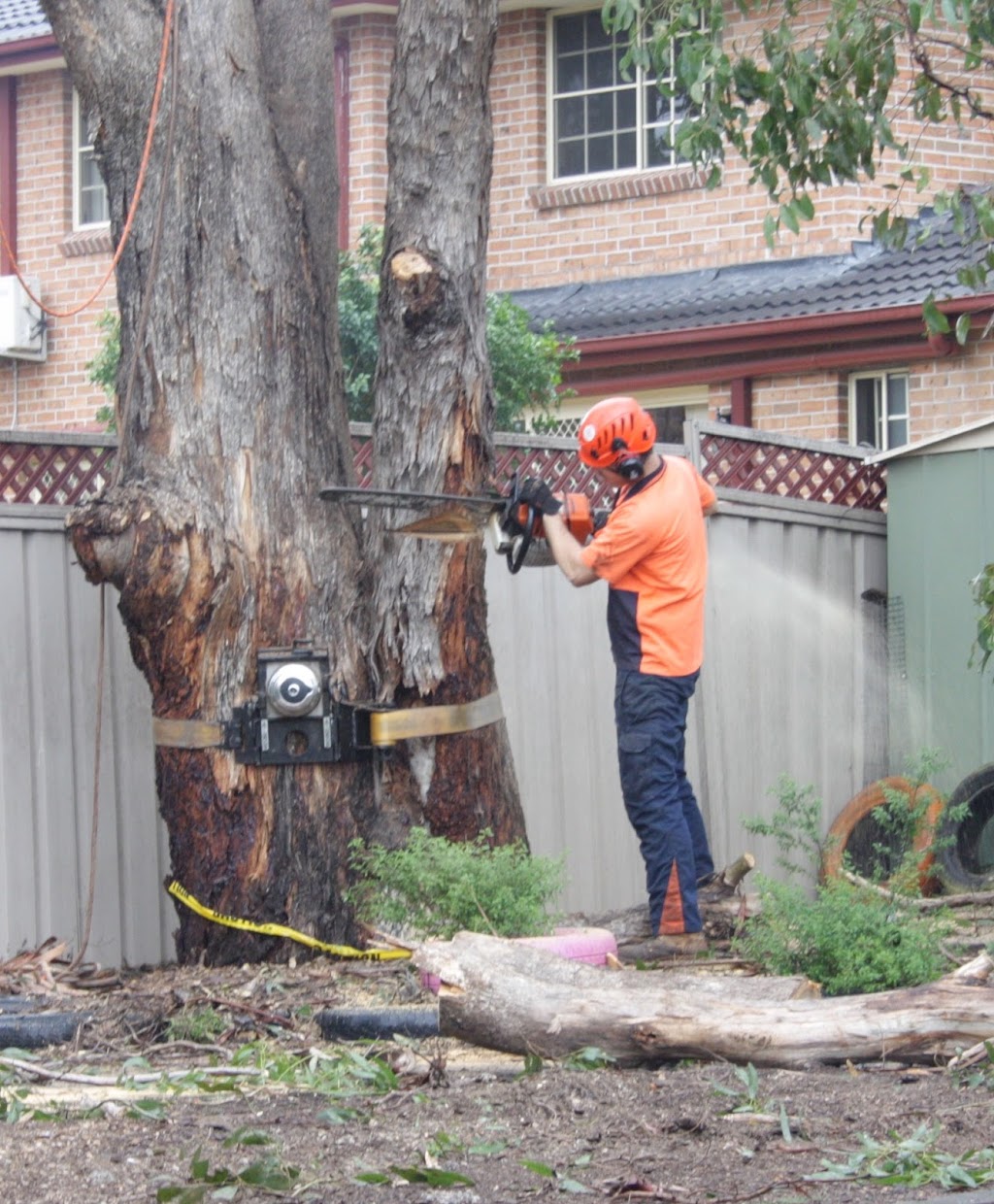 Ironbark Tree Company | Cameron St, Wauchope NSW 2446, Australia | Phone: 0417 249 617