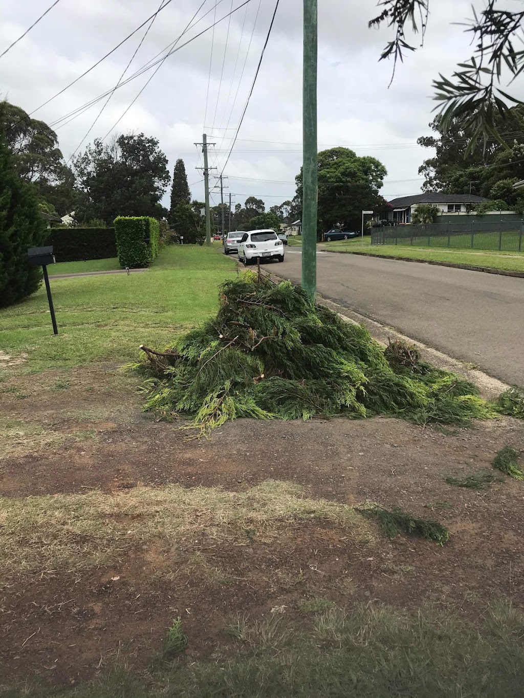Magic Tree Services | 30 Heath St, Granville NSW 2142, Australia | Phone: (02) 5661 8855