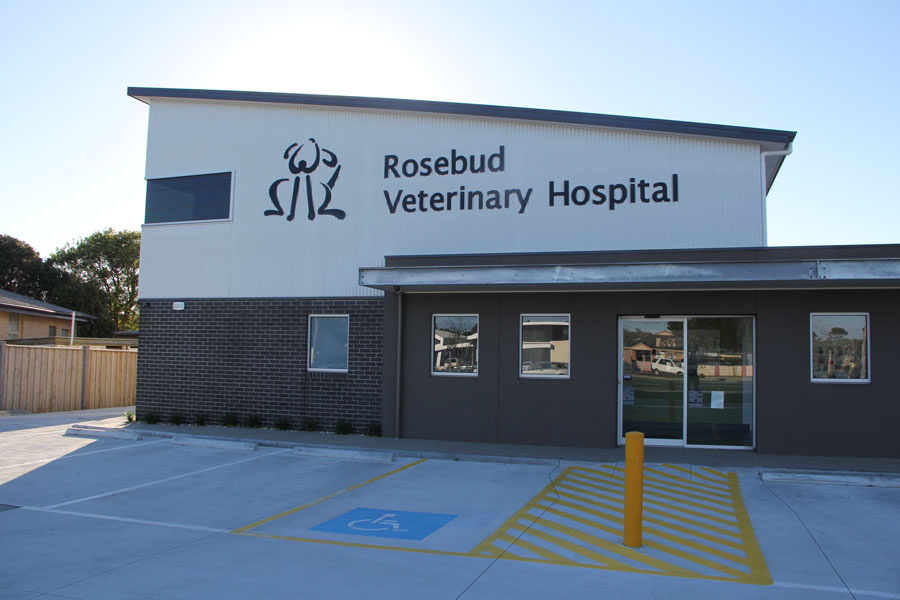 Peninsula Vet Care - Rosebud | veterinary care | 41 Boneo Rd, Rosebud VIC 3939, Australia | 0359862254 OR +61 3 5986 2254