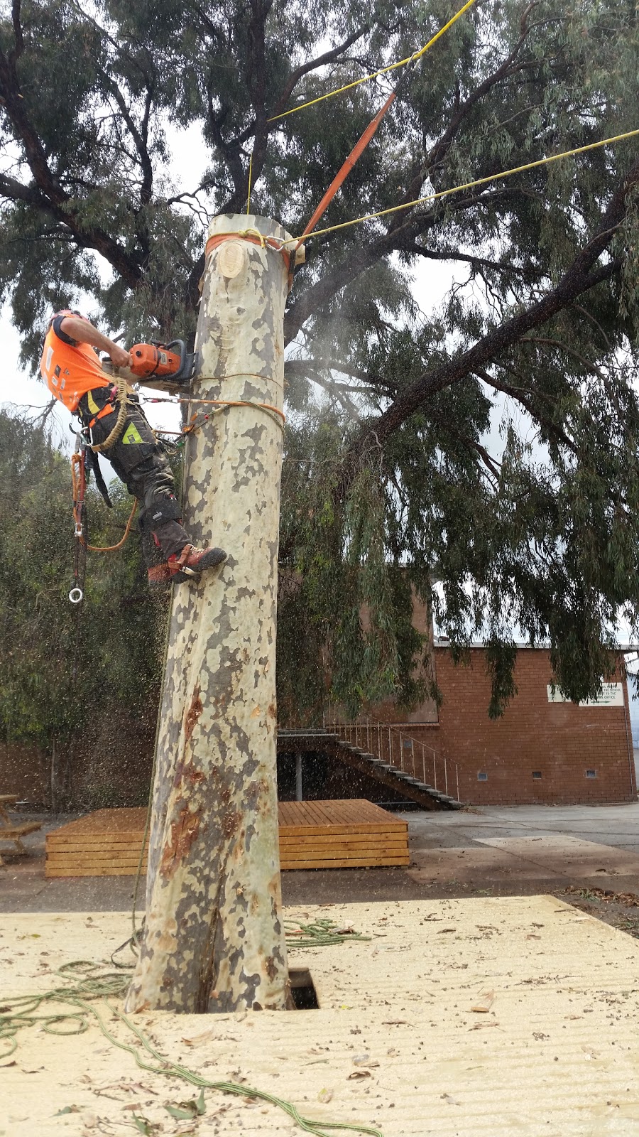 Fifteenfeet Tree Maintenance |  | 47 Fischer St, Coburg VIC 3058, Australia | 0435086323 OR +61 435 086 323