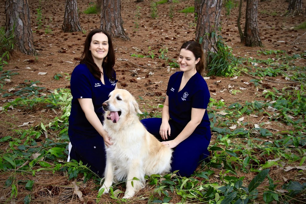 Animal Dermatology Specialist – Gold Coast South (Carrara) | Veterinary Specialist Services - Carrara, 104 Eastlake St, Carrara QLD 4211, Australia | Phone: 0402 237 237