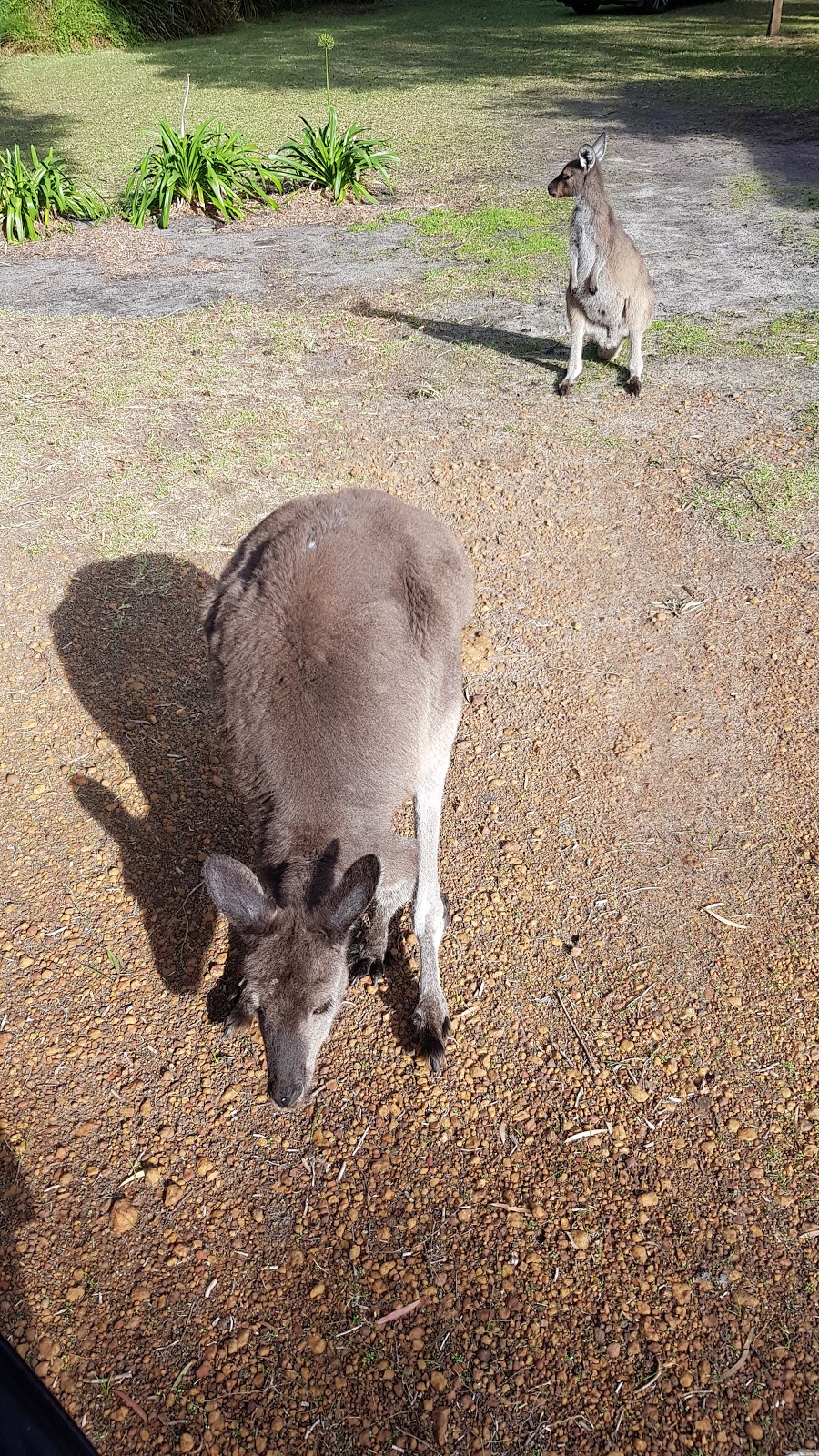 Peaceful Bay Chalets | Peppermint Way, Peaceful Bay WA 6333, Australia | Phone: (08) 9840 8169