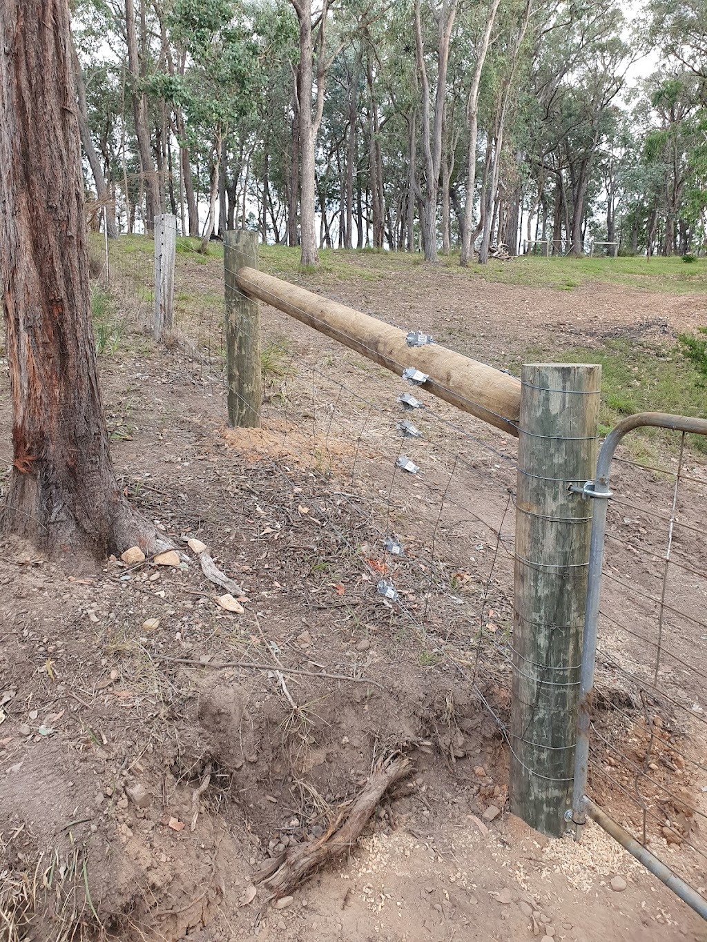 T& D Rural Fencing | Landy Ln, Briagolong VIC 3860, Australia | Phone: 0428 482 674
