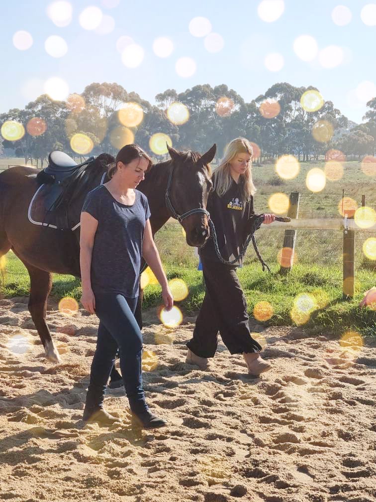 Jasper Equine Assisted Therapy and Counselling | 183 Craig Rd, Pearcedale VIC 3912, Australia | Phone: 0423 764 919