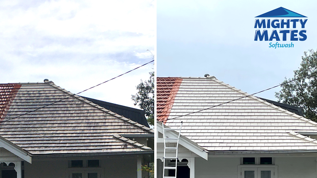 Mighty Mates Softwash & Pressure Washing | 1373A Pittwater Rd, Narrabeen NSW 2101, Australia | Phone: 0493 206 884