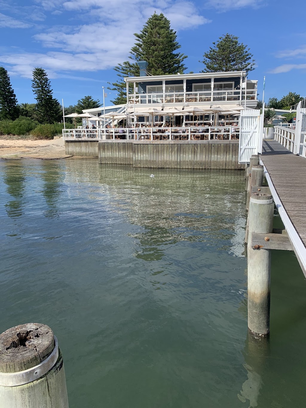 The Joey | Governor Phillip Park, 1191 Barrenjoey Rd, Palm Beach NSW 2108, Australia | Phone: (02) 9973 6711