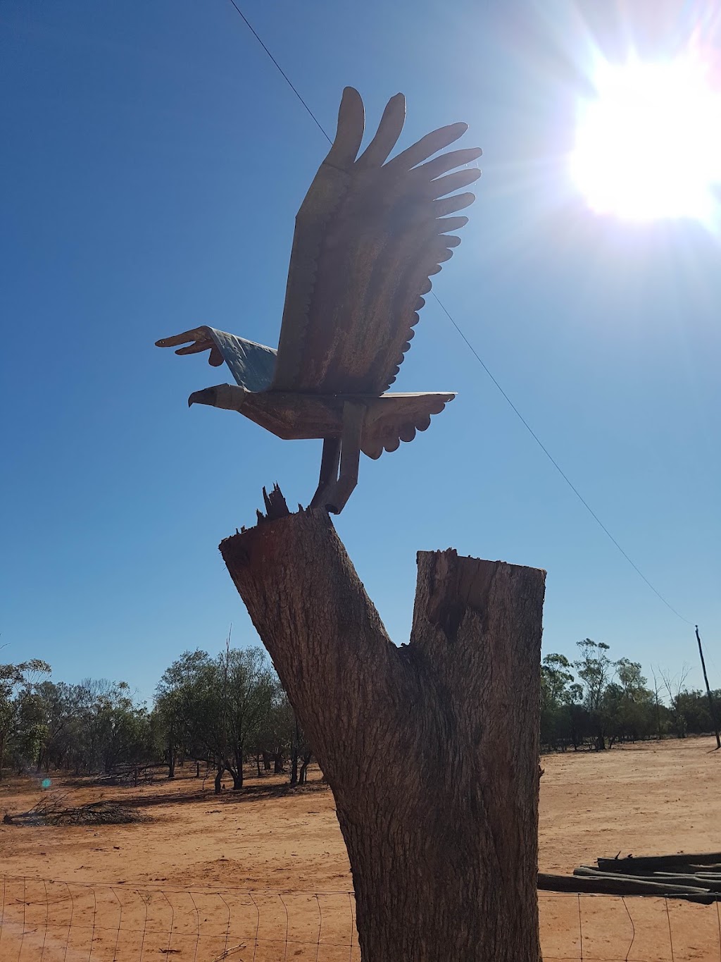 The Red Lizard Camping Ground | 30827 Mitchell Hwy, Charleville QLD 4470, Australia | Phone: 0428 928 867