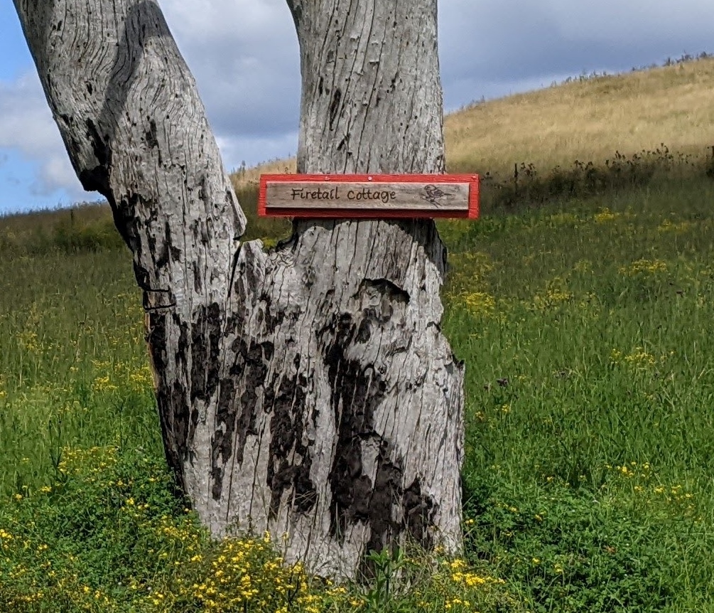 Firetail Cottage, Capertee Valley | 1527 Glen Davis Rd, Capertee NSW 2846, Australia | Phone: 0499 995 222