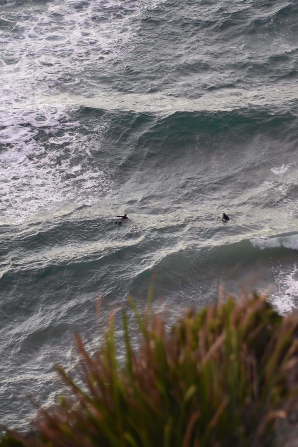 Badger Beach Lookout | Gardners Rd, Greens Beach TAS 7270, Australia