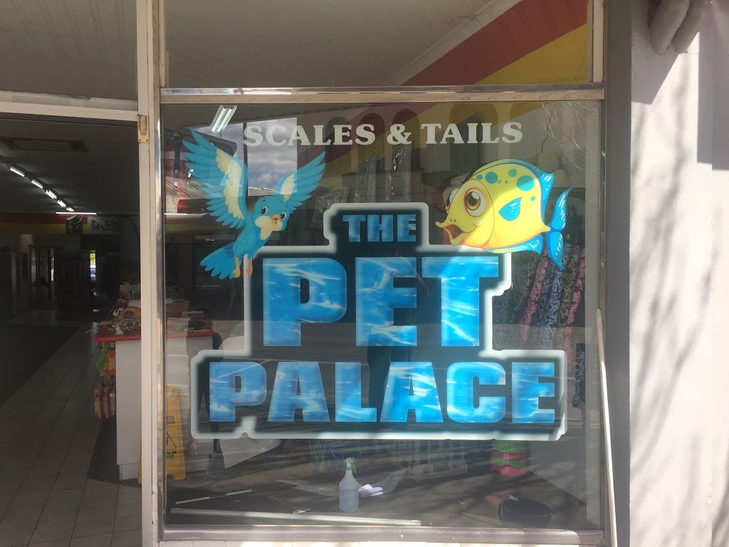 Scales & tails the pet palace | pet store | 254 Allan St, Kyabram VIC 3620, Australia | 0358531423 OR +61 3 5853 1423