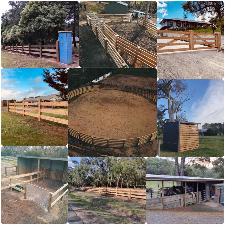 J & J Equine Solutions | 16 Bushy Park Ct, Drouin VIC 3818, Australia | Phone: 0411 373 324